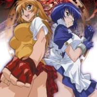   Ikkitousen <small>Director</small> 